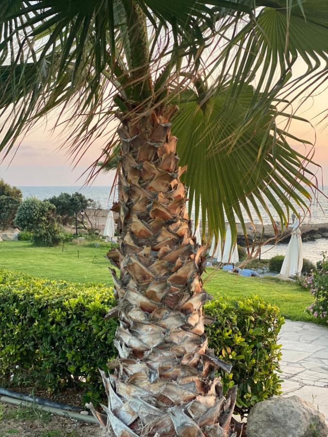 Royal Seacrest F G5 Ground Floor Apartment Paphos Exterior foto